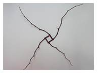 geometria_1