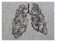 respiracion_2